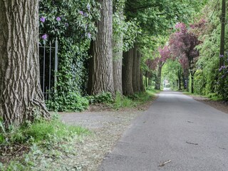 Vakantiehuis Brecht Omgeving 27