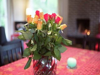 Casa per le vacanze Brecht  36