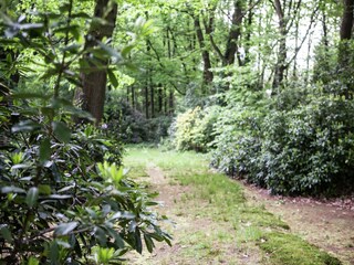 Vakantiehuis Brecht Omgeving 32