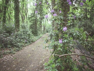 Ferienhaus Brecht Umgebung 24