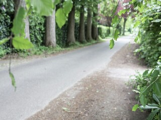 Casa de vacaciones Brecht Entorno 33