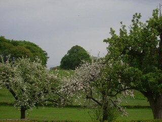 Ferienhaus Glabbeek Umgebung 32