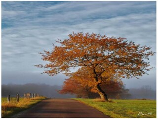 Casa per le vacanze Glabbeek Ambiente 31