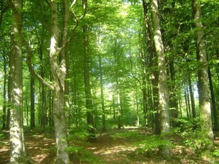 Vakantiehuis Glabbeek Omgeving 34
