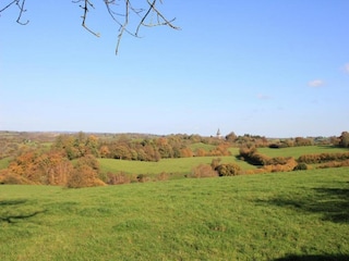 Ferienhaus Glabbeek Umgebung 29