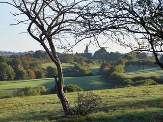 Ferienhaus Glabbeek Umgebung 35