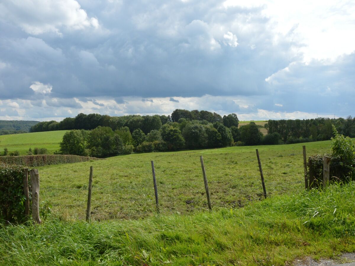 Ferienhaus Hombourg Umgebung 31