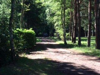 Vakantiehuis Hombourg Omgeving 33