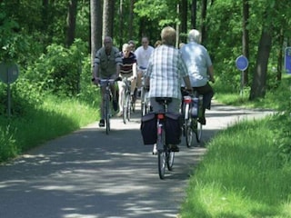 Vakantiehuis Hombourg Omgeving 35