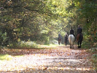 Vakantiehuis Hombourg Omgeving 32