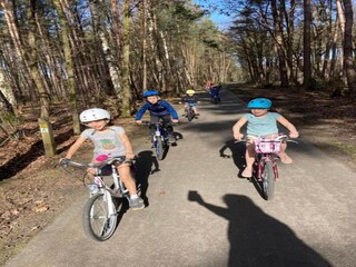 Vakantiehuis Hombourg Omgeving 34