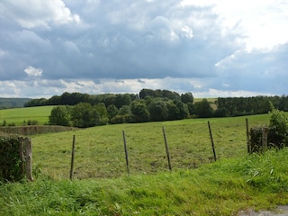 Holiday house Hombourg Environment 34