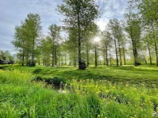 Casa per le vacanze Hasselt Ambiente 32