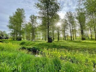 Vakantiehuis Hasselt Omgeving 32