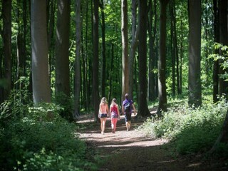 Maison de vacances Hasselt Environnement 34