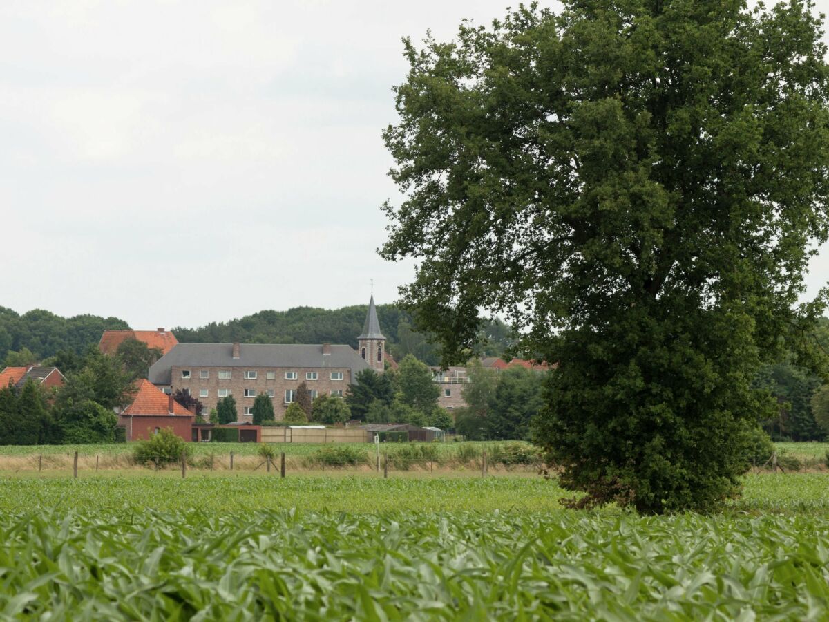 Ferienhaus Geel Umgebung 31