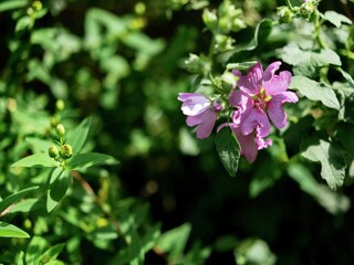 Vakantiehuis Geel  33