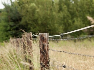 Casa per le vacanze Geel Ambiente 32