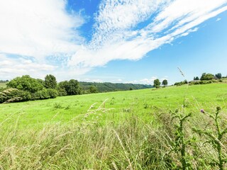 Maison de vacances Hamoir Environnement 29