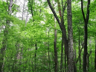 Holiday cottage Hamoir Environment 32