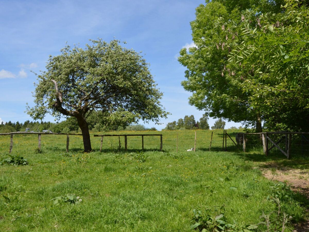 Maison de vacances Ferrières Enregistrement extérieur 1