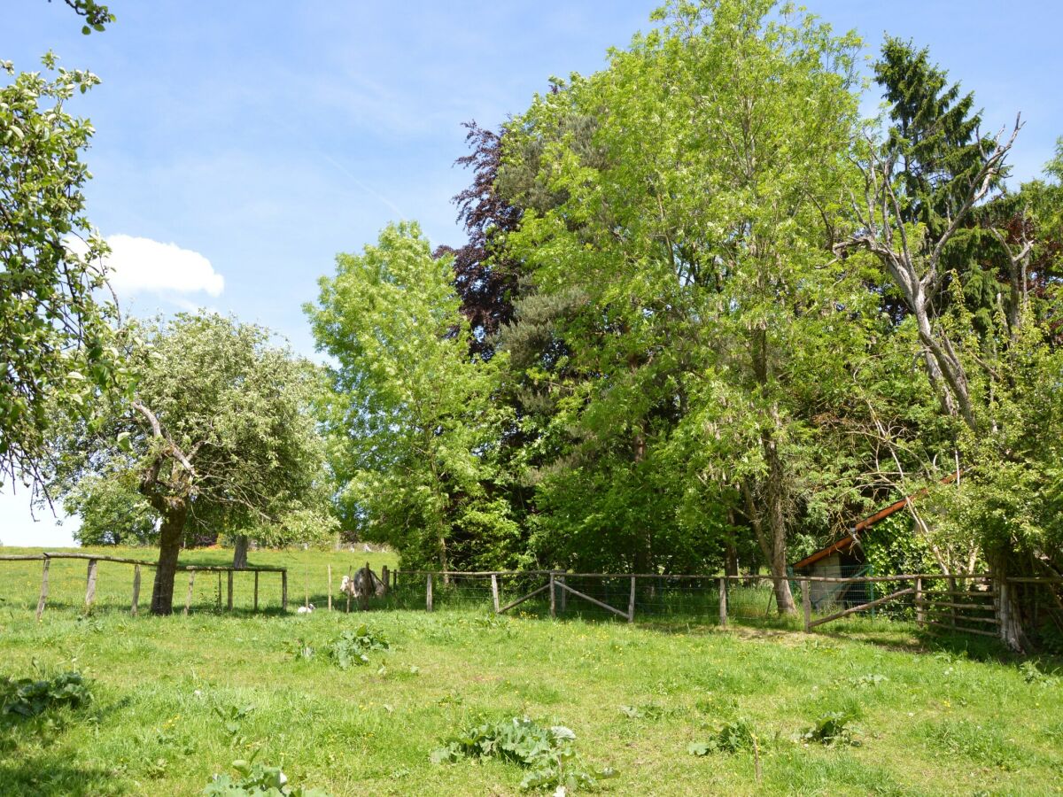 Ferienhaus Ferrières Außenaufnahme 9