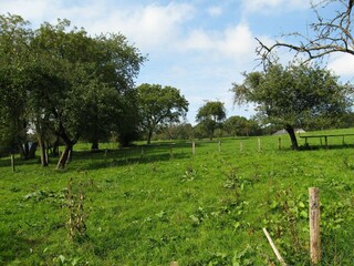 Vakantiehuis Ferrières Buitenaudio-opname 6