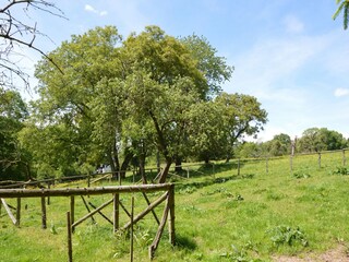 Casa de vacaciones Ferrières Grabación al aire libre 10