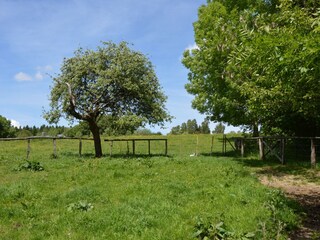 Vakantiehuis Ferrières Buitenaudio-opname 5