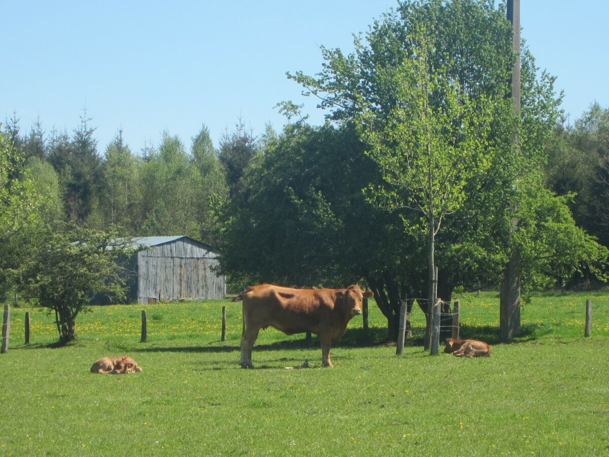 Ferienhaus Ferrières Umgebung 28