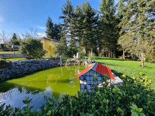 Unser Gartenteich mit Fischen