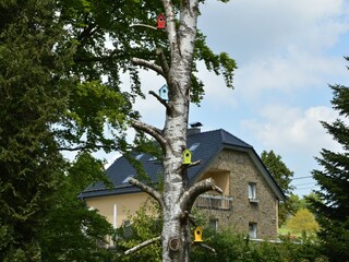 Casa de vacaciones Bütgenbach Grabación al aire libre 8