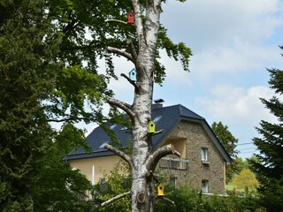 Ferienhaus Bütgenbach Außenaufnahme 8