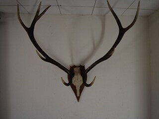 Maison de vacances Monschau  39