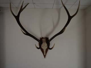 Vakantiehuisje Monschau  39