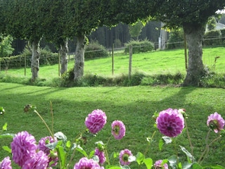 Holiday cottage Monschau Outdoor Recording 11