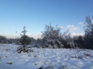 Ferienhaus Bütgenbach Umgebung 27
