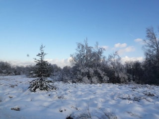 Vakantiehuis Bütgenbach Omgeving 30