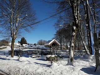 Vakantiehuis Bütgenbach Omgeving 31