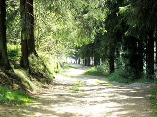 Chalet Bütgenbach Entorno 21