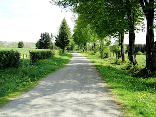 Chalet Bütgenbach Environment 28