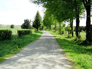 Chalet Bütgenbach Omgeving 27