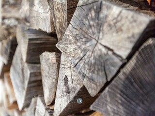 Bungalow Bütgenbach  36