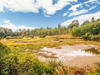 Vakantiehuis Bütgenbach Omgeving 35