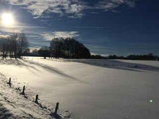 Apartment Amel Environment 31