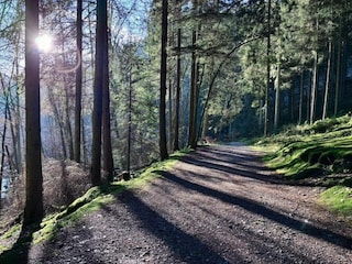 Apartment Amel Environment 30