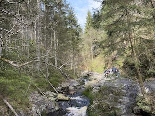 Apartment Amel Environment 32