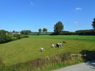 Maison de vacances Amel Environnement 33