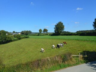 Vakantiehuisje Amel Omgeving 29