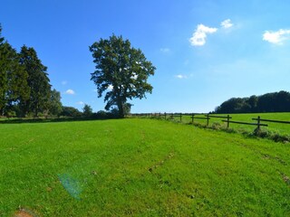 Vakantiehuisje Amel Buitenaudio-opname 8